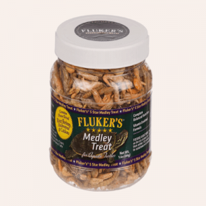 Reptile Food