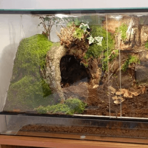 Habitats & Enclosures